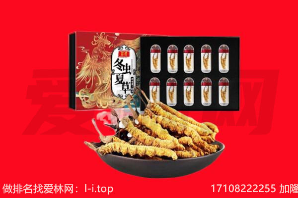 晋城市阳城回收虫草.jpg